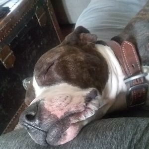 Meet your Posher, Terri